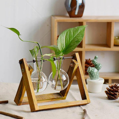 Green Space Glass Terrarium  - Hydroponic Plant Transparent Vase With Wooden Frame