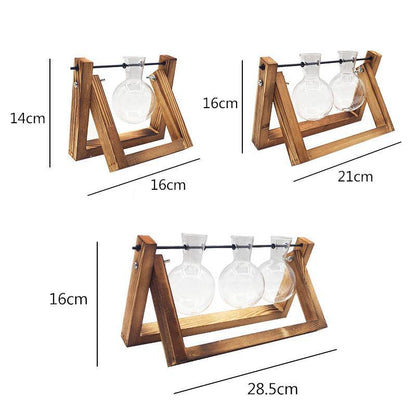 Green Space Glass Terrarium  - Hydroponic Plant Transparent Vase With Wooden Frame