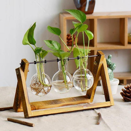 Green Space Glass Terrarium  - Hydroponic Plant Transparent Vase With Wooden Frame