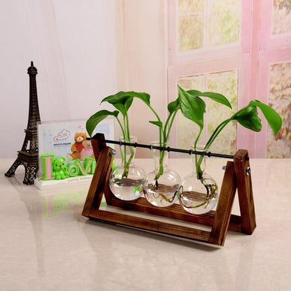 Green Space Glass Terrarium  - Hydroponic Plant Transparent Vase With Wooden Frame