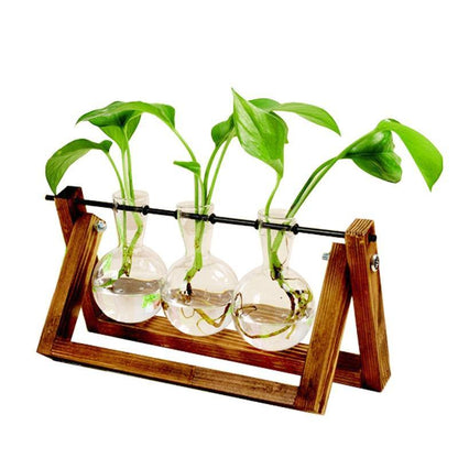 Green Space Glass Terrarium  - Hydroponic Plant Transparent Vase With Wooden Frame