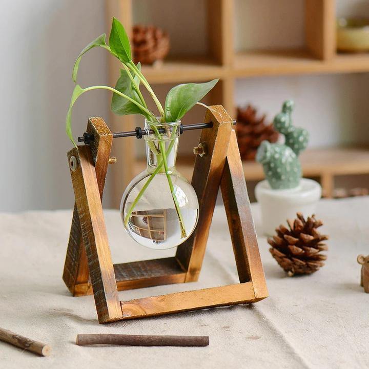 Green Space Glass Terrarium  - Hydroponic Plant Transparent Vase With Wooden Frame