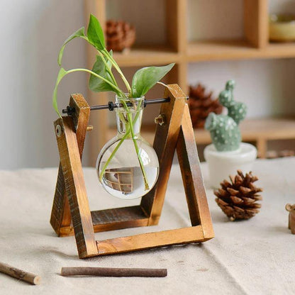 Green Space Glass Terrarium  - Hydroponic Plant Transparent Vase With Wooden Frame