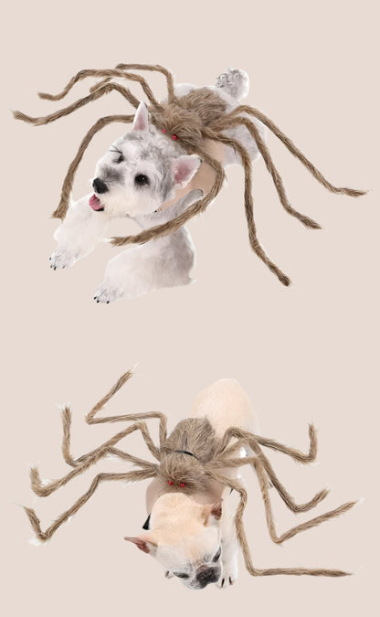 Dog Spider Costume Halloween Pet Clothes - Big Spider Costume for Dogs and Cats, Spooky Pet Halloween Costumes.
