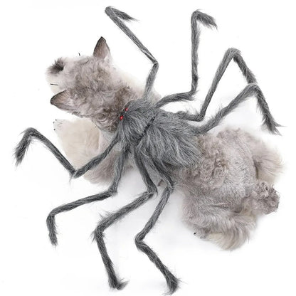 Dog Spider Costume Halloween Pet Clothes - Big Spider Costume for Dogs and Cats, Spooky Pet Halloween Costumes.
