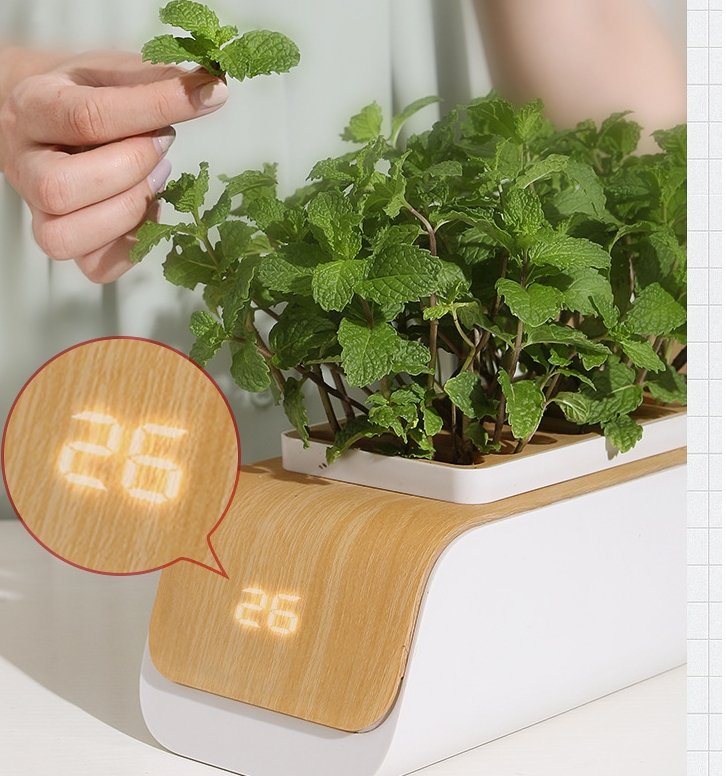 Hydroponic Container Flower Pot - LED Plant Grow for Indoor Home Garden