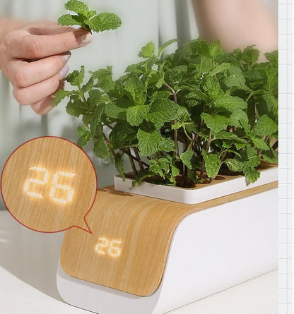 Hydroponic Container Flower Pot - LED Plant Grow for Indoor Home Garden