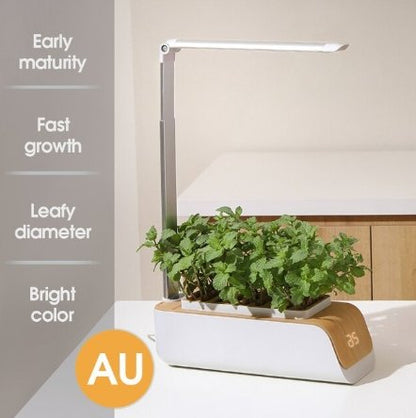 Hydroponic Container Flower Pot - LED Plant Grow for Indoor Home Garden