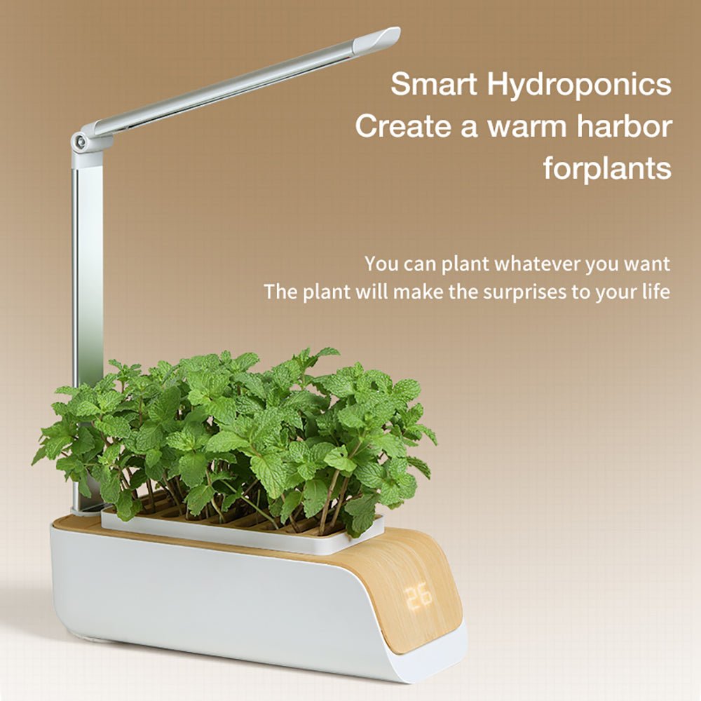 Hydroponic Container Flower Pot - LED Plant Grow for Indoor Home Garden