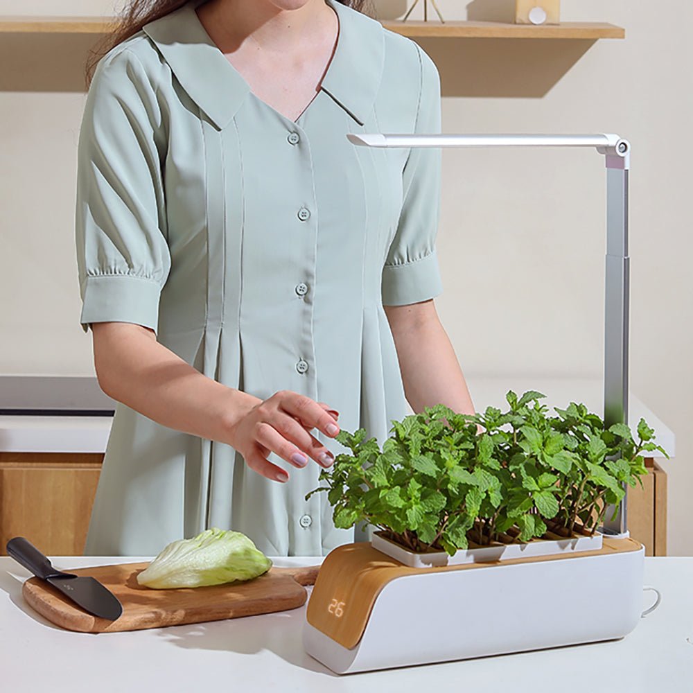 Hydroponic Container Flower Pot - LED Plant Grow for Indoor Home Garden