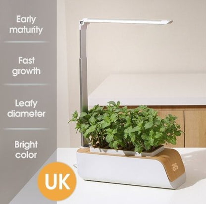 Hydroponic Container Flower Pot - LED Plant Grow for Indoor Home Garden