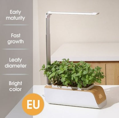 Hydroponic Container Flower Pot - LED Plant Grow for Indoor Home Garden