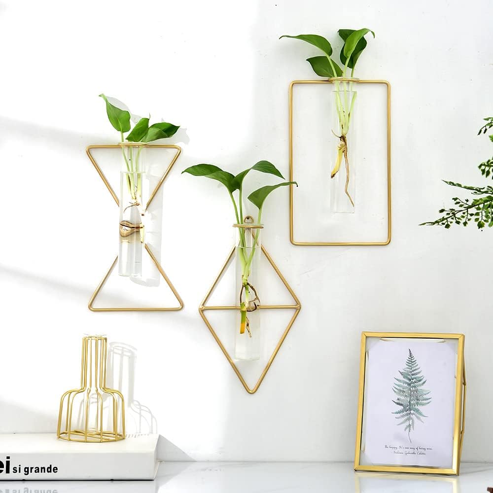 Hydroponic Wall Vase - Plant Hydroponic Wall Decor Decoration Holder Wall Decor Flower Arrangement
