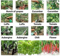 Plant strappers
