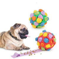 Dog Chew Toy