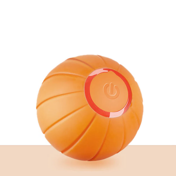 Pet Ball (Special Edition)