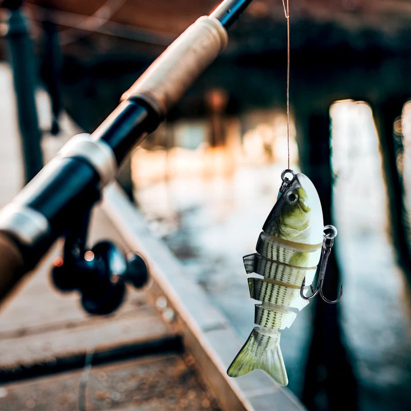 Swimming Lure