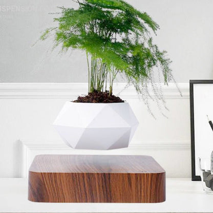 Levitating Bonsai Pot