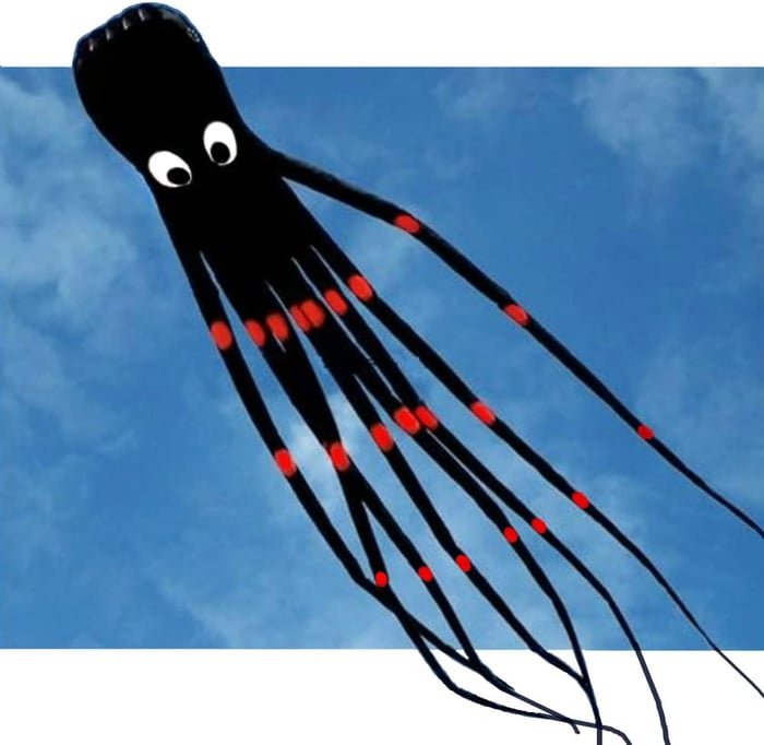 Long Giant Octopus Kite - Outdoor Toy (8-Meter)