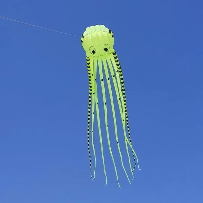Long Giant Octopus Kite - Outdoor Toy (8-Meter)