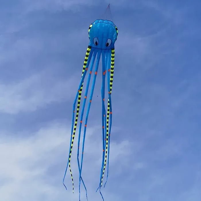 Long Giant Octopus Kite - Outdoor Toy (8-Meter)