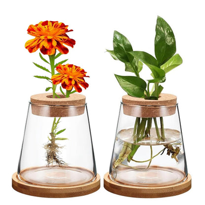 Mini Hydroponic Glass Flower Pot – Stylish Soilless Planter for Home Décor, Transparent Tabletop Vase for Beautiful Greenery
