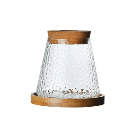 Mini Hydroponic Glass Flower Pot – Stylish Soilless Planter for Home Décor, Transparent Tabletop Vase for Beautiful Greenery