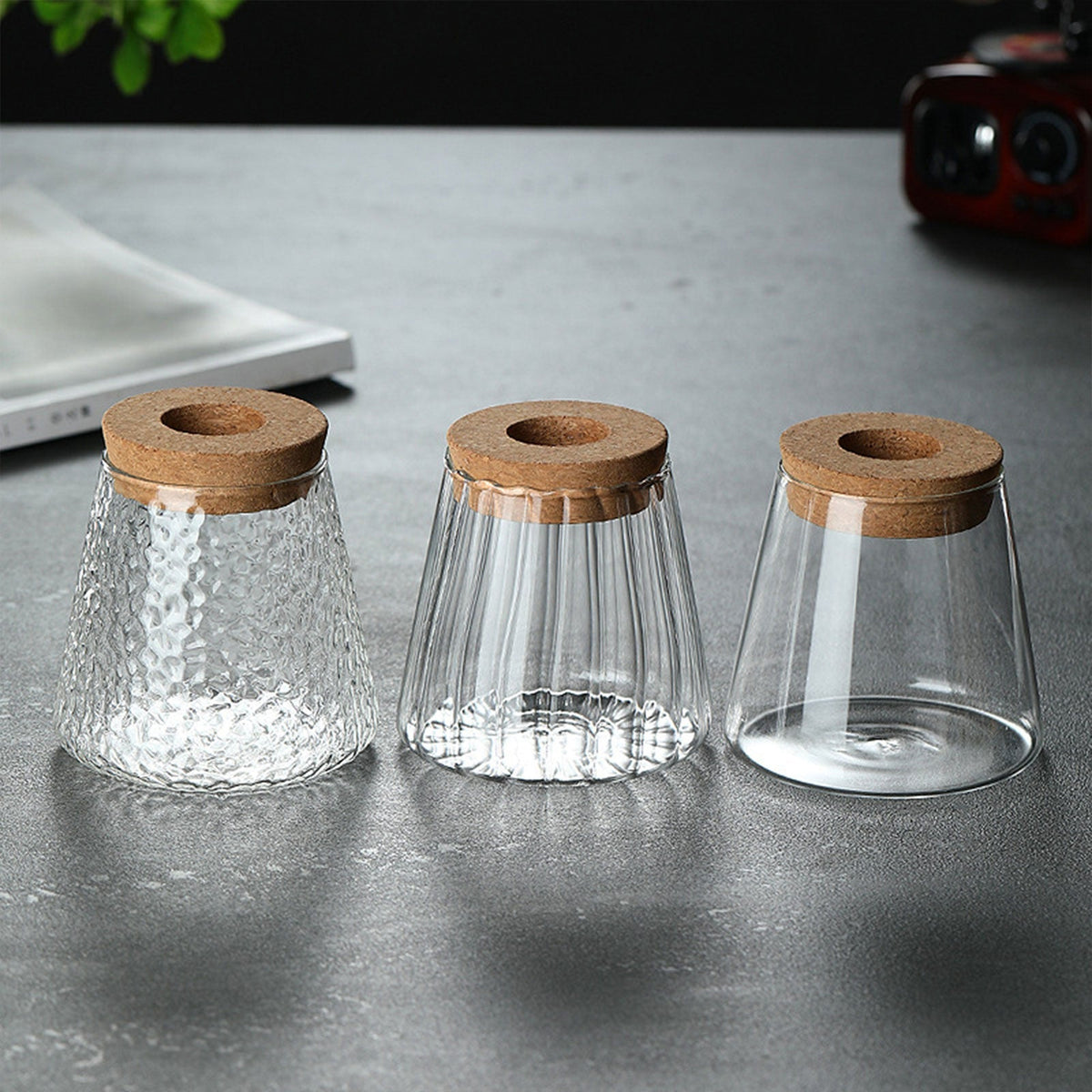 Mini Hydroponic Glass Flower Pot – Stylish Soilless Planter for Home Décor, Transparent Tabletop Vase for Beautiful Greenery