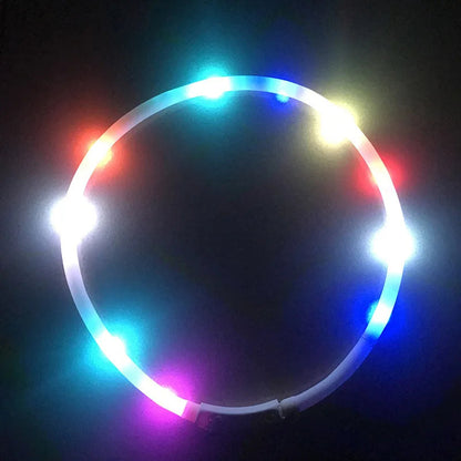 LED Dog Collar – USB Rechargeable Luminous Pet Collar with Adjustable Glow for Safe Night Walks & Anti-Loss Protection