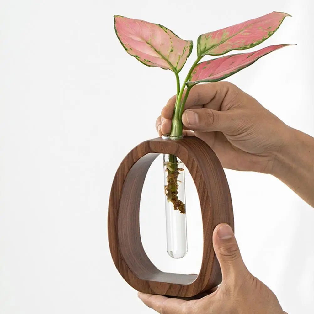 Natural Bamboo Flower and Wood Glass Test Tube Vase  – A Touch of Zen for Your Home Perfect for Hydroponic Plants & Floral Arrangements