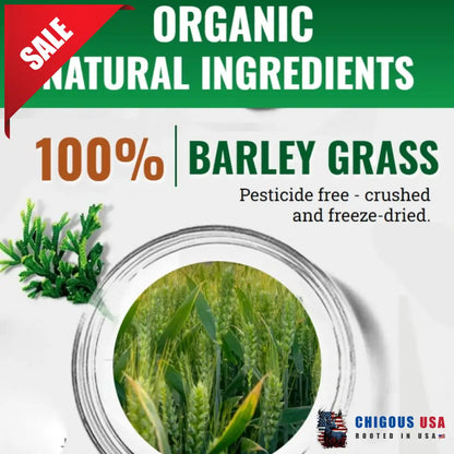 Naveta Barley Grass Powder 100% Pure & Organic