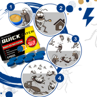 Odorless Cockroach Traps