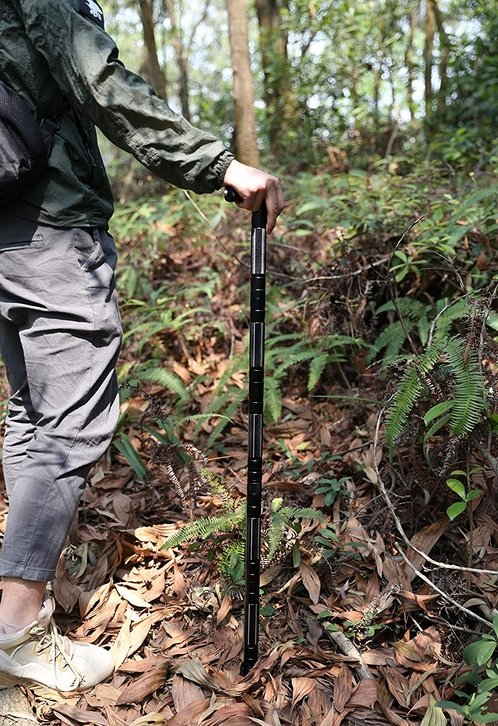 Screw-Together Trekking Staff with Camp Tool Heads – 3 to 6 Aluminum Tubes