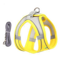 Adjustable Harness and Leash Set for Small Dogs and Cats