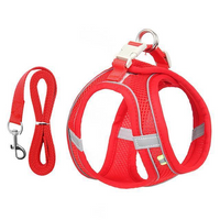Adjustable Harness and Leash Set for Small Dogs and Cats