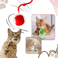 Smart Interactive Cats Ball Toy