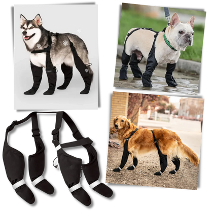 Waterproof Dog Suspenders Boots