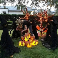 Lighted Halloween Witch Stake - Halloween Witches Decor