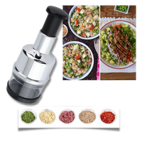 Stainless Steel Garlic Chopper