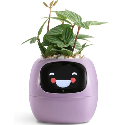 Smart Plant Pot Ivy - Innovative Plant Care