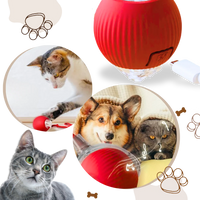 Smart Interactive Cats Ball Toy