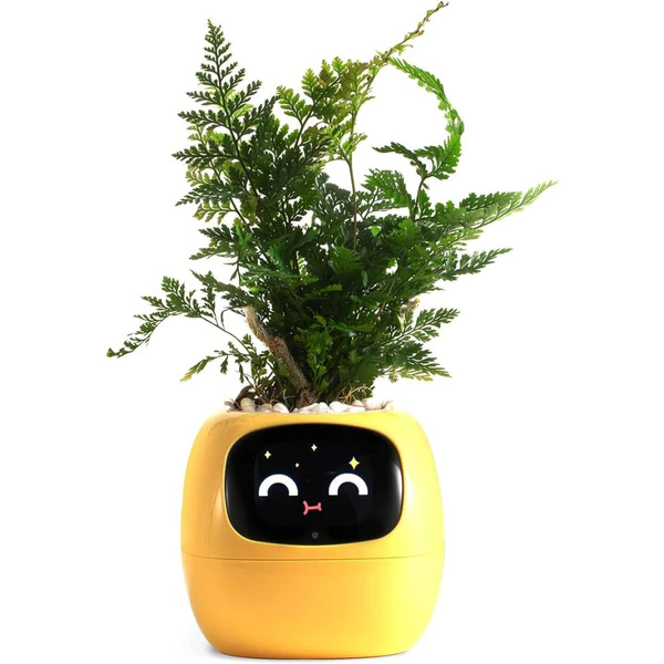 Smart Plant Pot Ivy - Innovative Plant Care