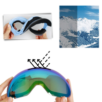 Snow Goggles with Lens Bundle