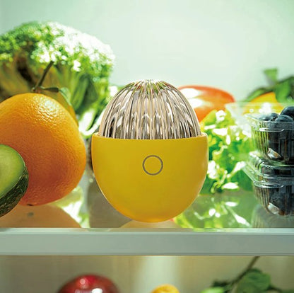 Ozone Odor Eliminator Egg - Compact Odor Removal Solution