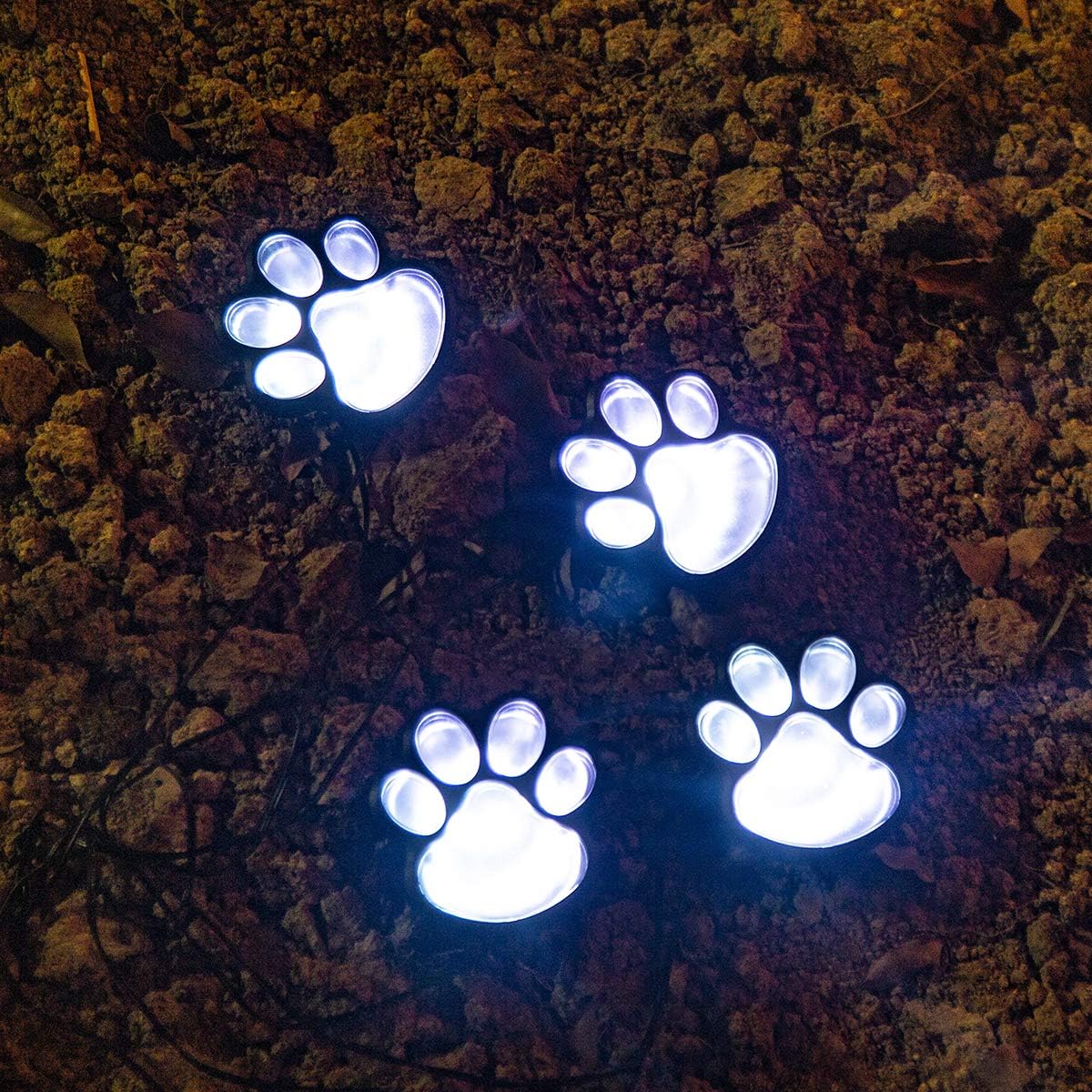 Paw Garden Lights - Paw Print  Solar Lights