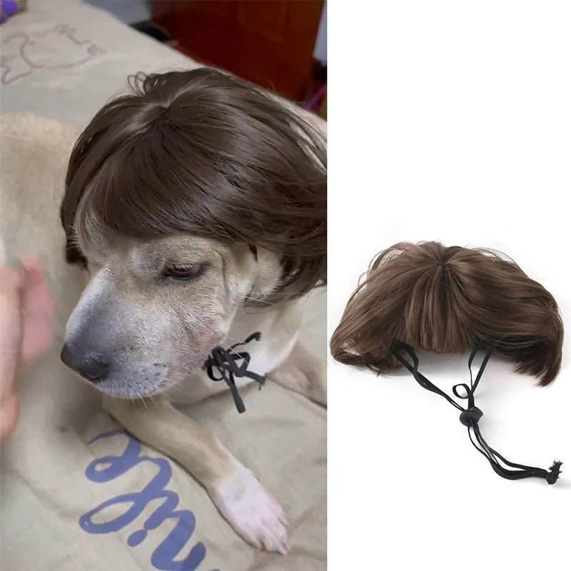 Pet Wigs Cosplay Props - Cat and Dog Wigs to Unleash Their Personality