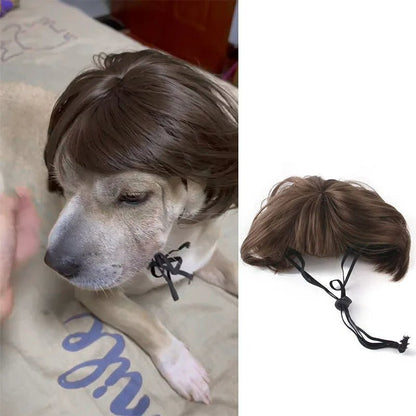 Pet Wigs Cosplay Props - Cat and Dog Wigs to Unleash Their Personality