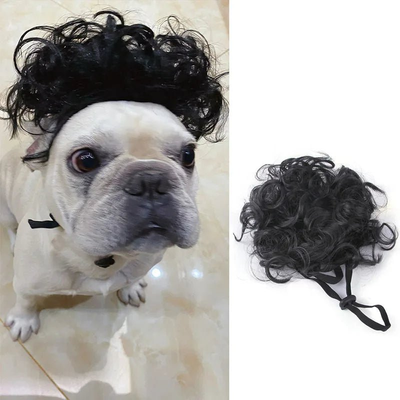 Pet Wigs Cosplay Props - Cat and Dog Wigs to Unleash Their Personality