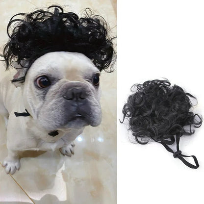 Pet Wigs Cosplay Props - Cat and Dog Wigs to Unleash Their Personality