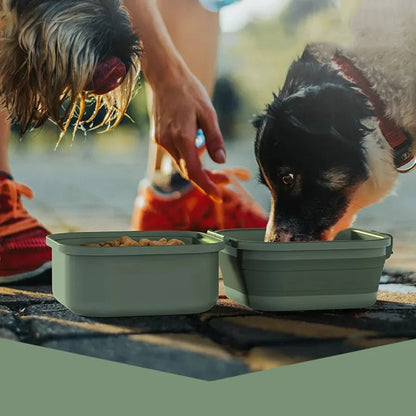 Portable Folding Double Pet Bowls – Travel-Friendly Pet Feeder for Food & Water On-the-Go